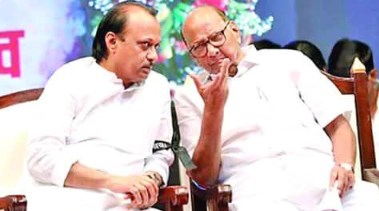 एक और राज्य में NCP में फूट, भतीजे के साथ सभी विधायक; शरद पावर को झटका
