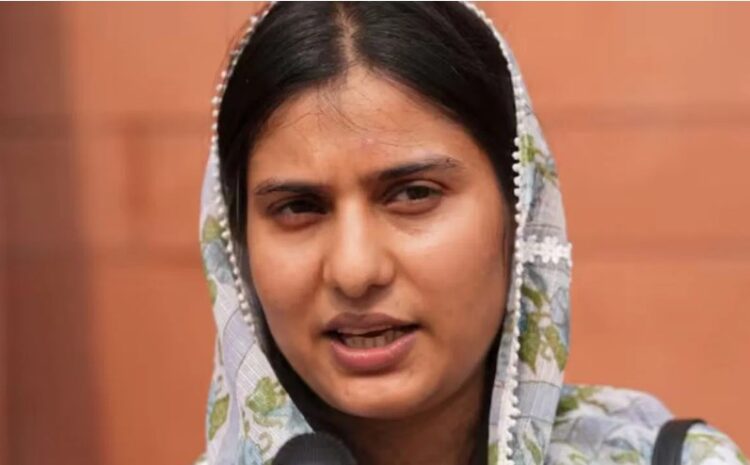 हम लोकतंत्र में हैं, किसी की तानाशाही नहीं है… संभल में चल रही खुदाई पर बोलीं इकरा हसन